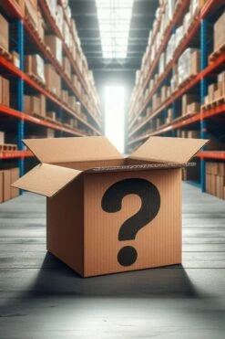 MENS MYSTERY BOX (UP TO $300 VALUE)